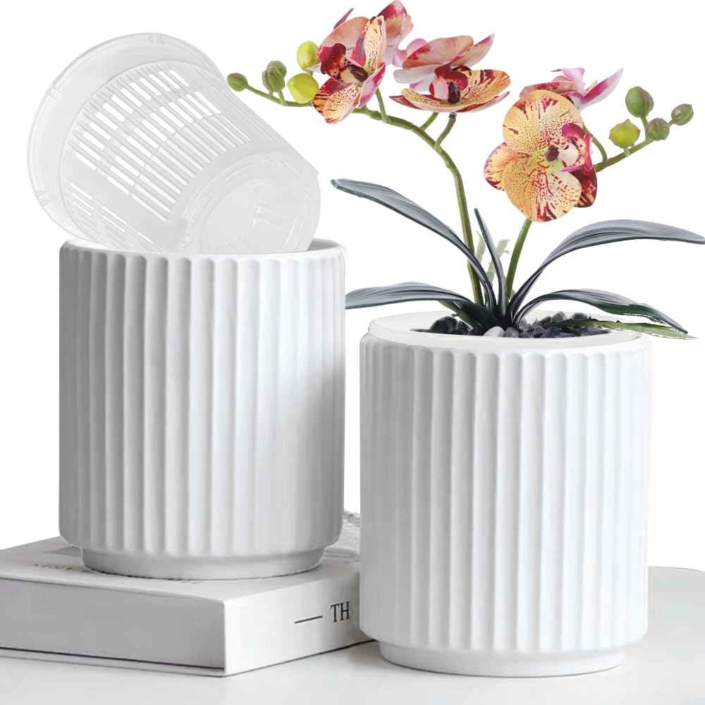 Amazon.com: MUZHI Double Layer White Ceramic Orchid Planter with